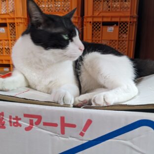 芸備書房　皆様の古本屋さん