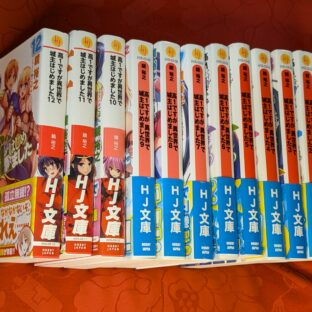 2024.8.11ヤフオク!に商品を出品しました（ラノベ）。