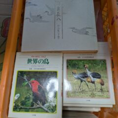 2025.2.20 日本の古本屋に商品を出品しました