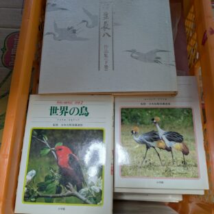 2025.2.20｜出品情報｜日本の古本屋